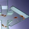 Akvarij u obliku grafita "Fish"