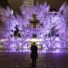 Forever Bicycles by Ai Weiwei