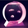 Desktop Jellyfish Tank
