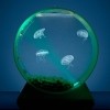 Desktop Jellyfish Tank