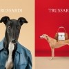 Trussardi hrtovi, proljeće/ljeto 2014