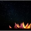 AfrikaBurn 2013. (photo by: Simon Max Bannister)