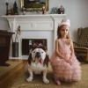 Harper i Lola by Rebecca Leimbach