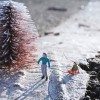 Little people projekt, Slinkachu