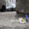 Little people projekt, Slinkachu