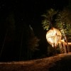 Yellow Treehouse restoran, Auckland, Novi Zeland