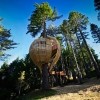 Yellow Treehouse restoran, Auckland, Novi Zeland