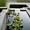 Najljepše uređeni vrtovi u japanskom stilu