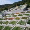 Awaji Hyakudanen, Japan