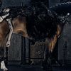 Sablasna ljepotica i konji: Nova kampanja Alexandera McQueena