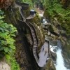 Canyon Steps, Ecuador