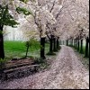 Spencer Smith Park, Burlington, Ontario, Canada