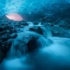 Mendenhall Glacier, Aljaska