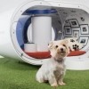 Samsung Dream Doghouse