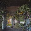 Umjetnički projekt cvijećem oživio napuštenu kuću u Detroitu