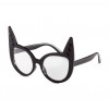 Fancy Dress Glasse 49,90KN