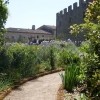 Borgo Pignano, Toscana