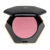 H&amp;amp;M Powder blusher £6.99