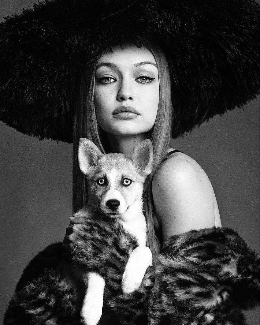 Gigi Hadid Maybelline