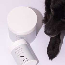 Holistička briga o kućnim ljubimcima- trend ili nužna potreba?