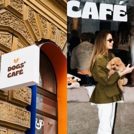 Dogs’ Café Zagreb: mjesto gdje ljubav prema psima okuplja ljude i pokreće pozitivne promjene