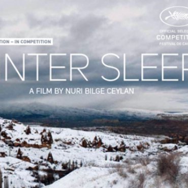 Winter sleep