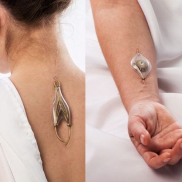 &quot;Energy Addicts&quot;