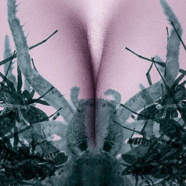 Uskoro ćemo nositi grudnjake od paukove svile