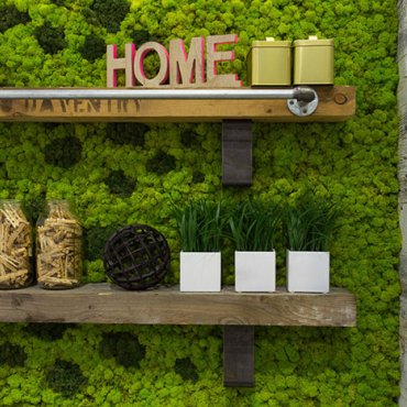 Mahovina može poslužiti kao savršen dekor zidova umjesto slika