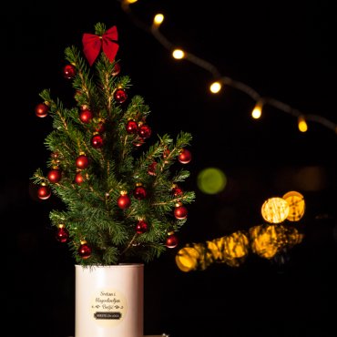 Ova fenomenalna hrvatska ideja mladog bračnog para Anje i Matije Đurinek, idealan je dar za Božić, a može biti i inovativan poslovni poklon te fantastičan ukras za stan ili ured. Savršeno pristaje u svaki mali prostor ili ured jer ga je iznimno lako