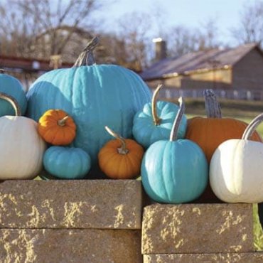 @HOLIDAYWORLD/TWITTER