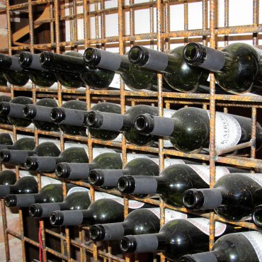 Tribidag, Zinfandel, Primitivo ili Crljenak