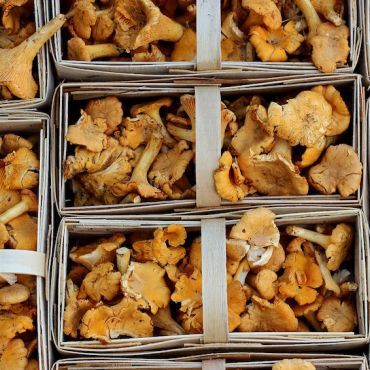 Namirnica s malo kalorija