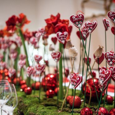 Dubravkin put, Zagreb tak imam te rad