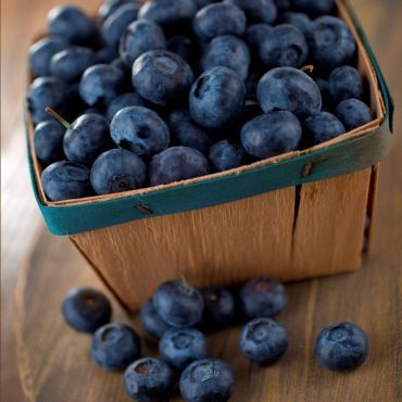 Volim borovnice - najbolje hrvatske borovnice