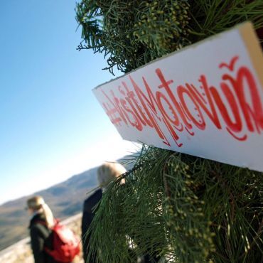 Iatra womwns day by Alma