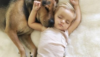 Istraživanje potvrdilo da djeca u obitelji najviše vole - psića