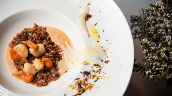 Taste with signature, 20. rođendan Kotanyi Hrvatska