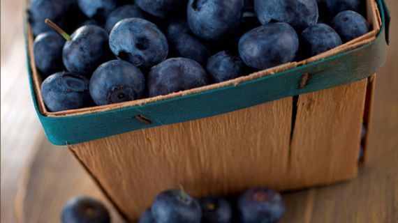 Volim borovnice - najbolje hrvatske borovnice