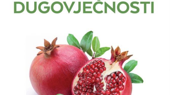 Paradoks dugovječnosti, Mozaik