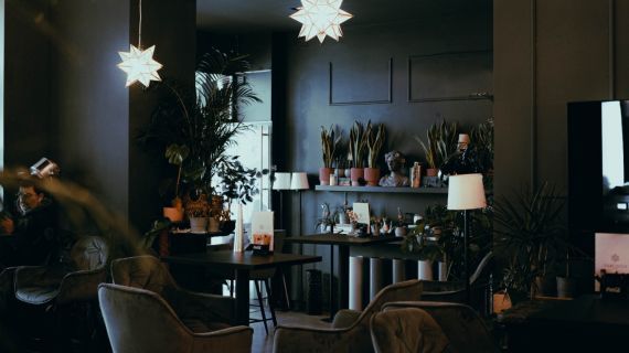 Narcissus bar, Zagreb